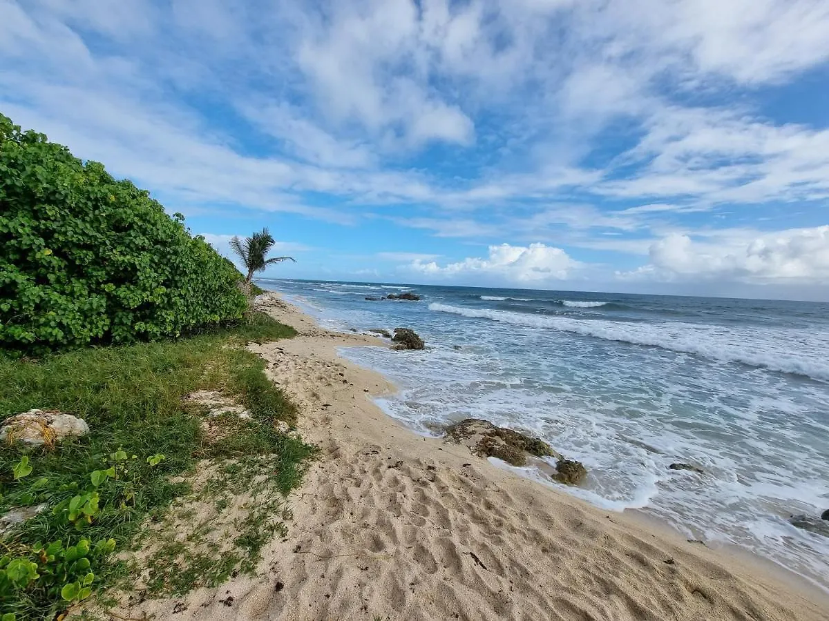 Apartment Domaine De Tuscany Vue Mer Saint-Francois  Guadeloupe