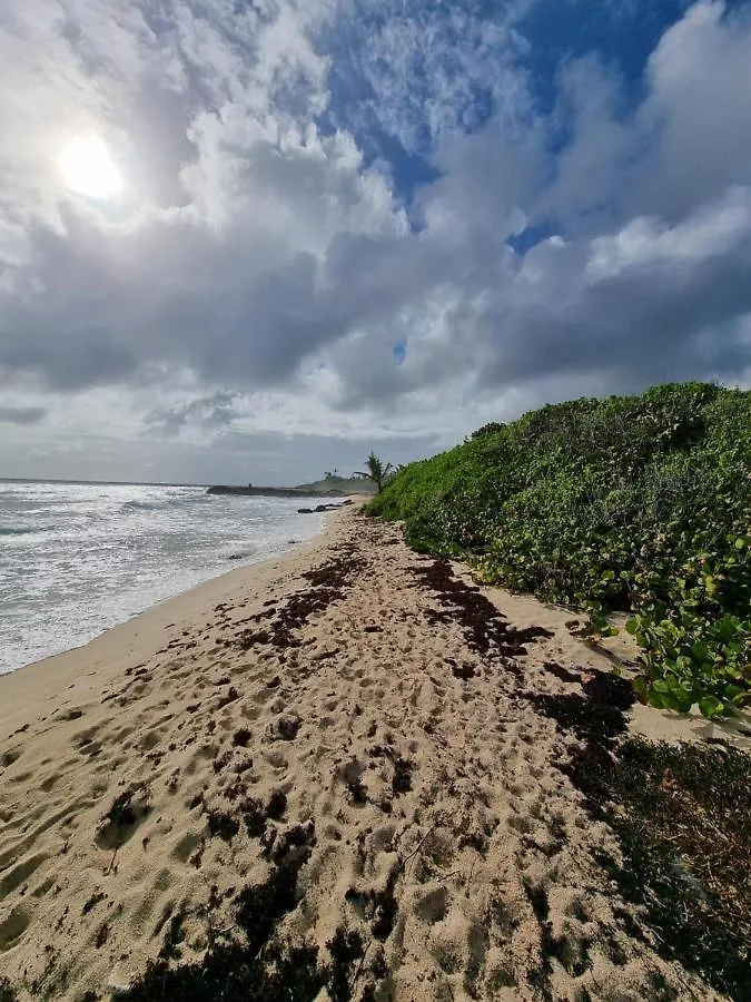 Domaine De Tuscany Vue Mer Saint-Francois  Guadeloupe